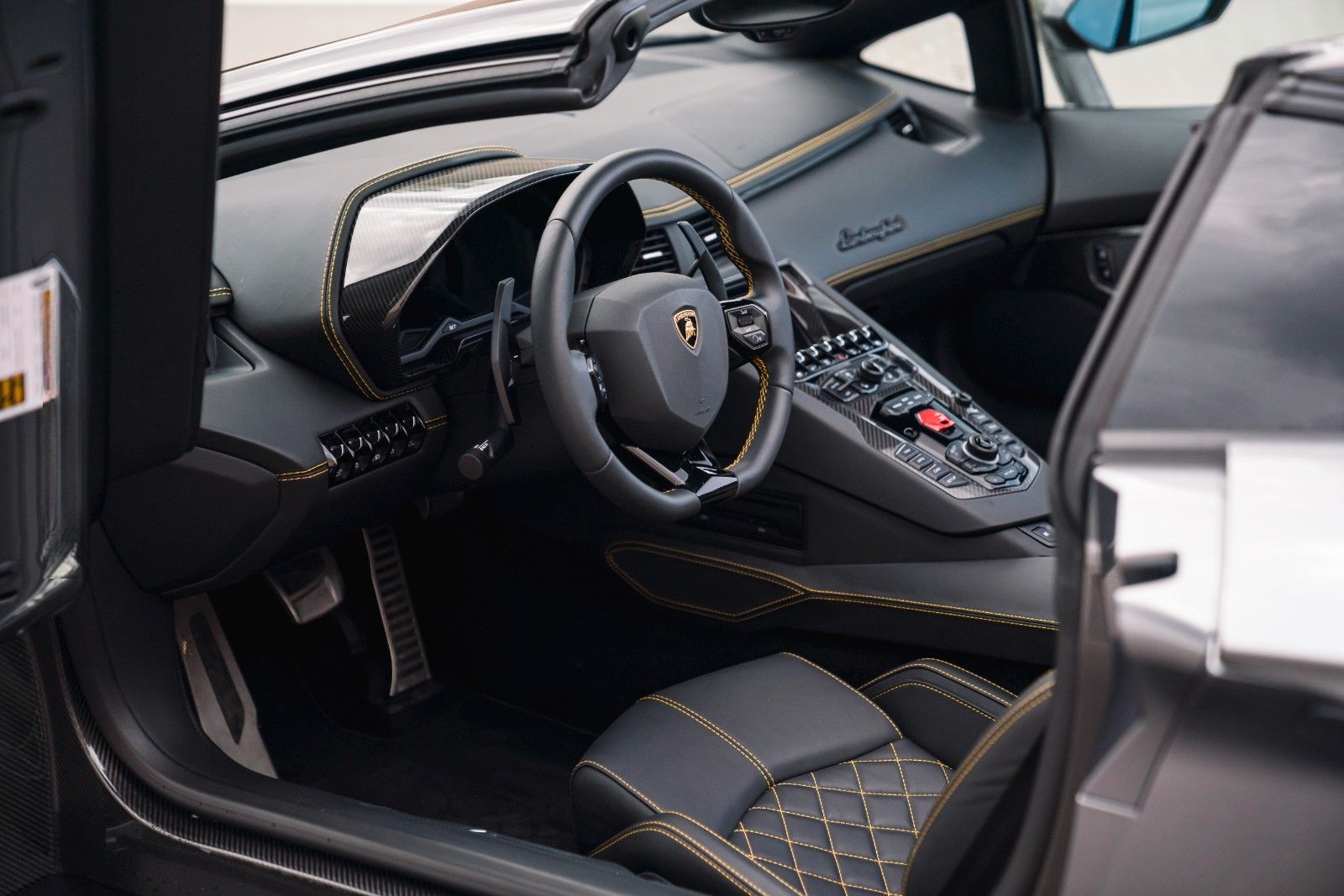 Lamborghini Aventador S Roadster Unica Carbon + PPF foto 21