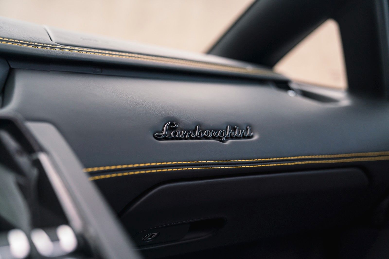 Lamborghini Aventador S Roadster Unica Carbon + PPF foto 22