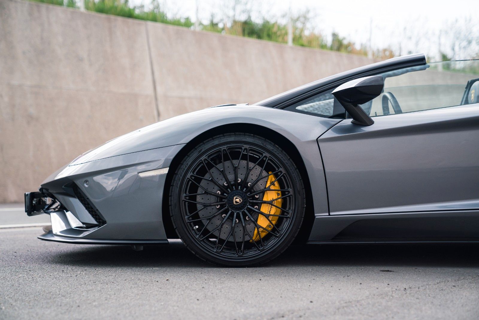 Lamborghini Aventador S Roadster Unica Carbon + PPF foto 9
