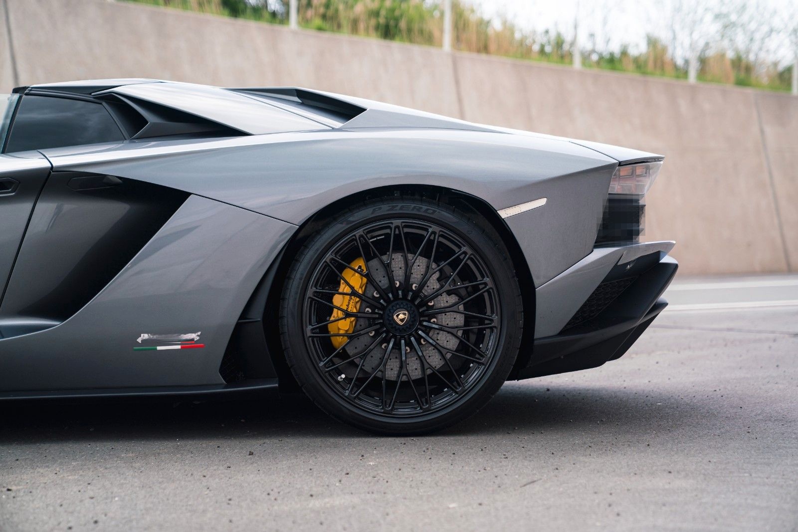 Lamborghini Aventador S Roadster Unica Carbon + PPF foto 10
