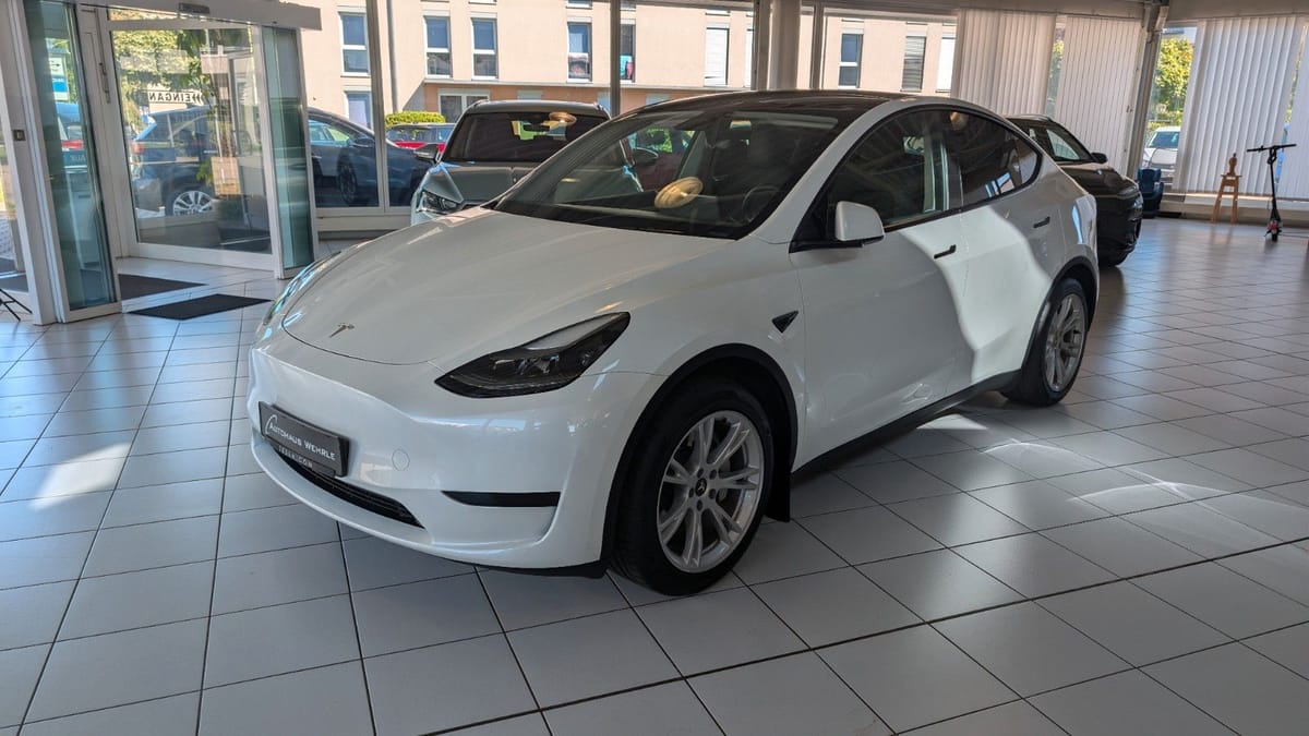 Tesla Model Y RWD AHK Matrix