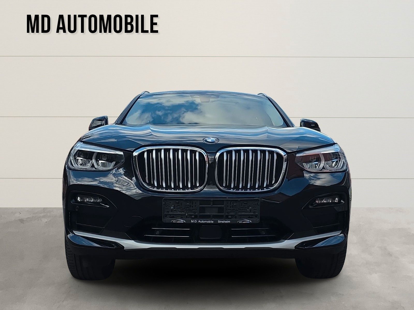 BMW X4 xDrive 30 i xLine Panorama foto 8