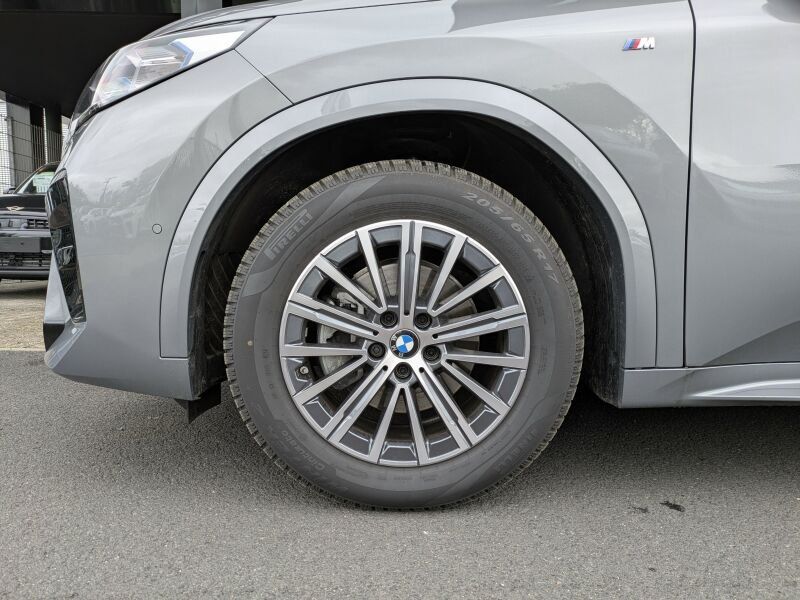BMW X2 sDrive20d M Sport Driv.Ass.Park.Ass. foto 10