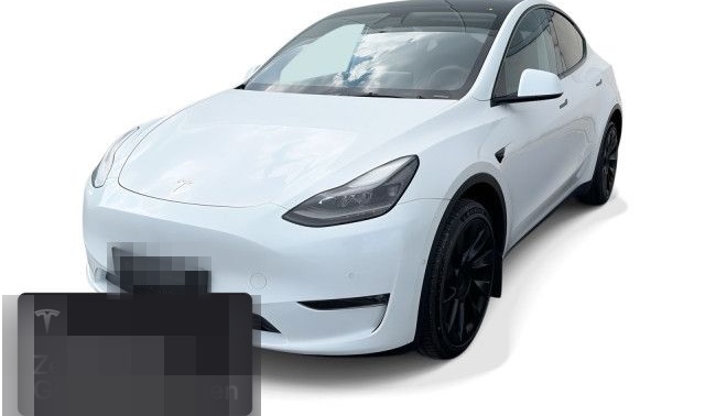 Tesla Model Y Long Range AWD foto 1