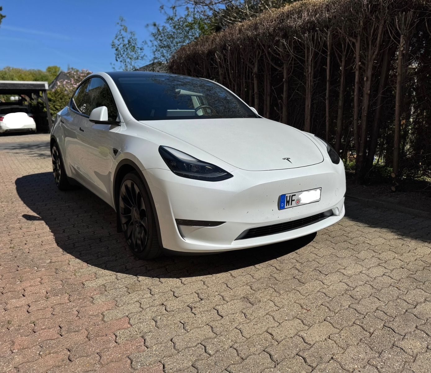 Tesla Model Y Performance AWD Enhanced Autopilot foto 2