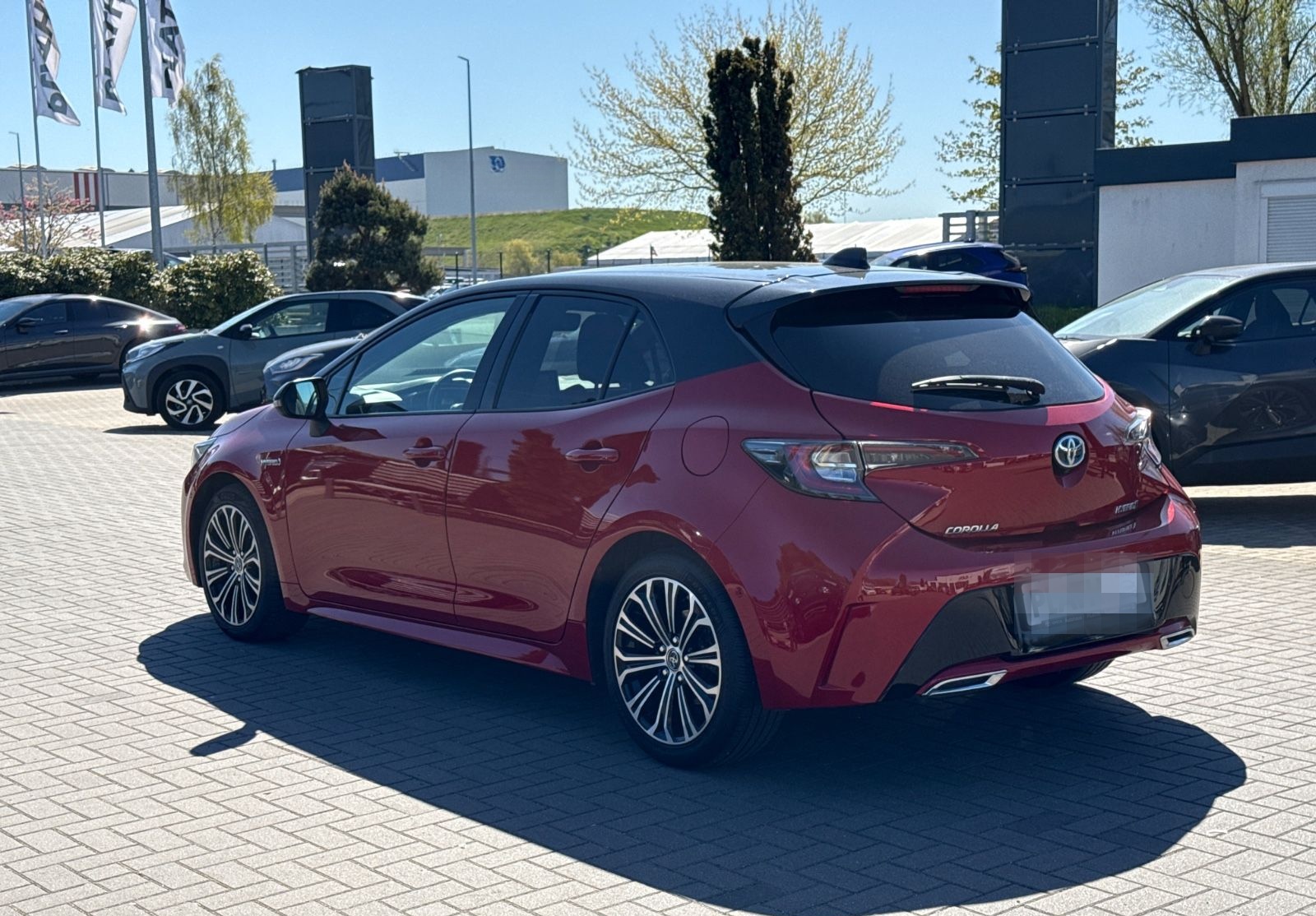 Toyota Corolla Hybrid Club foto 7