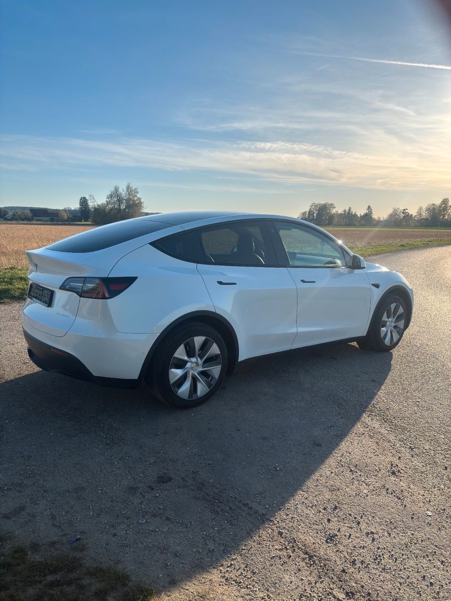 Tesla Model Y Long Range Dual AWD foto 3
