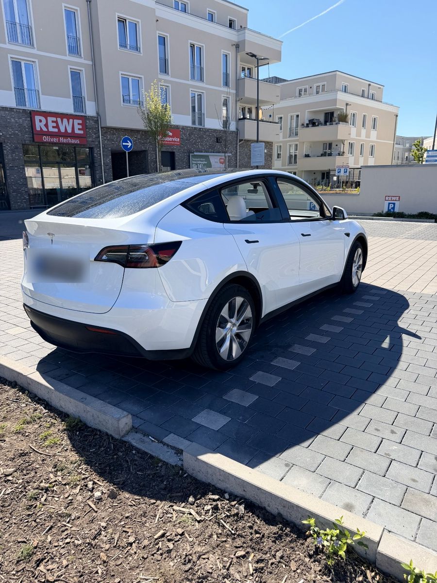 Tesla Model Y RWD 2023 | LFP | Weiß/Weiß foto 6
