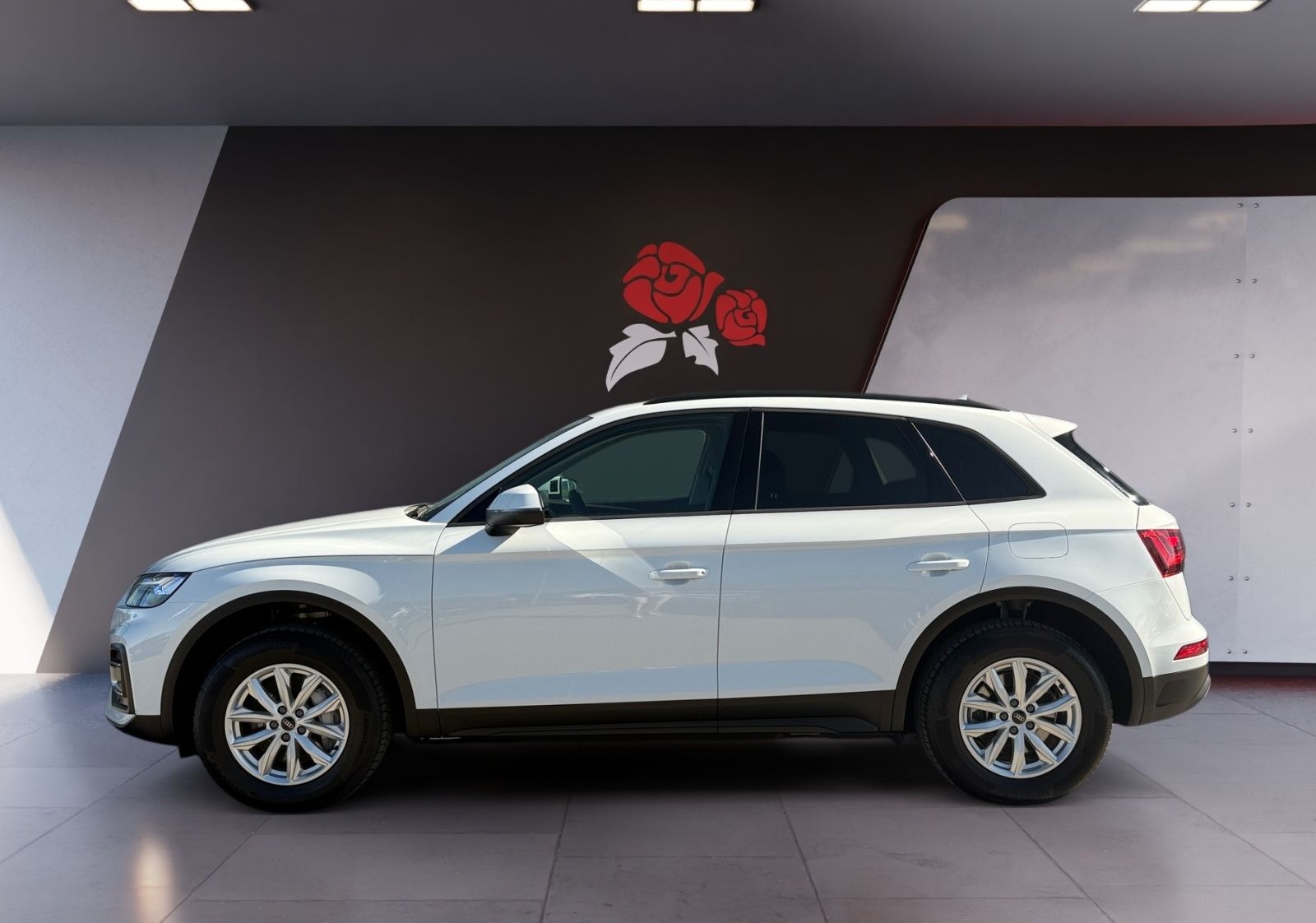 Audi Q5 50 2.0 TFSI e quattro AHK Pano RFK ACC Navi M foto 3