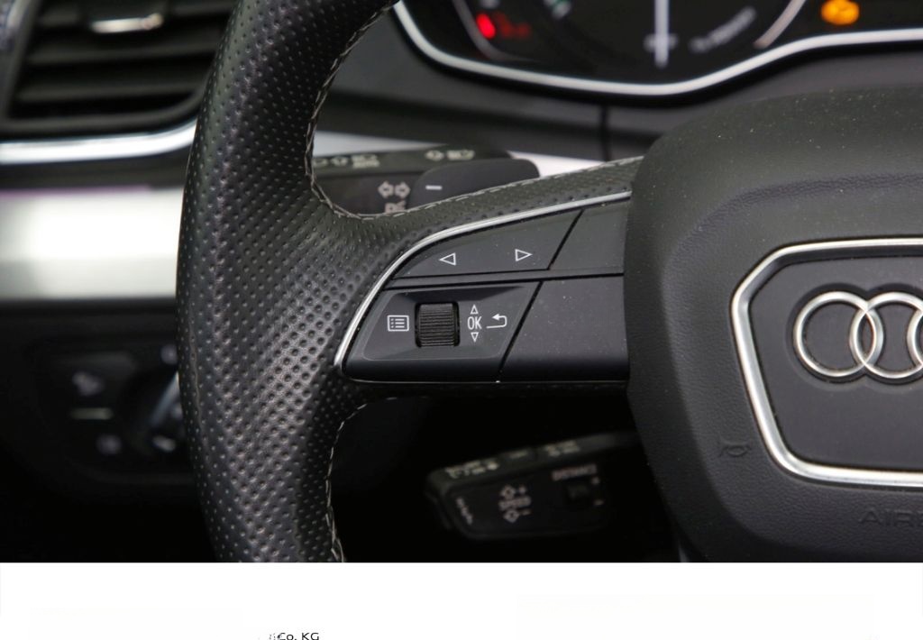 Audi Q5 50 TFSI e quattro 2x S-line Pano TopView foto 18