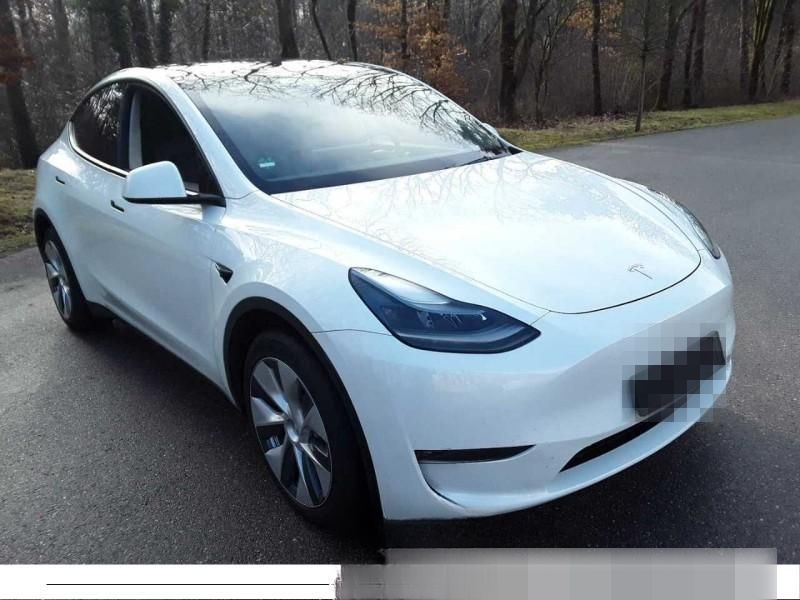 Tesla Model Y Long Range Dual AWD 360 Kam Autopilot 3 foto 2