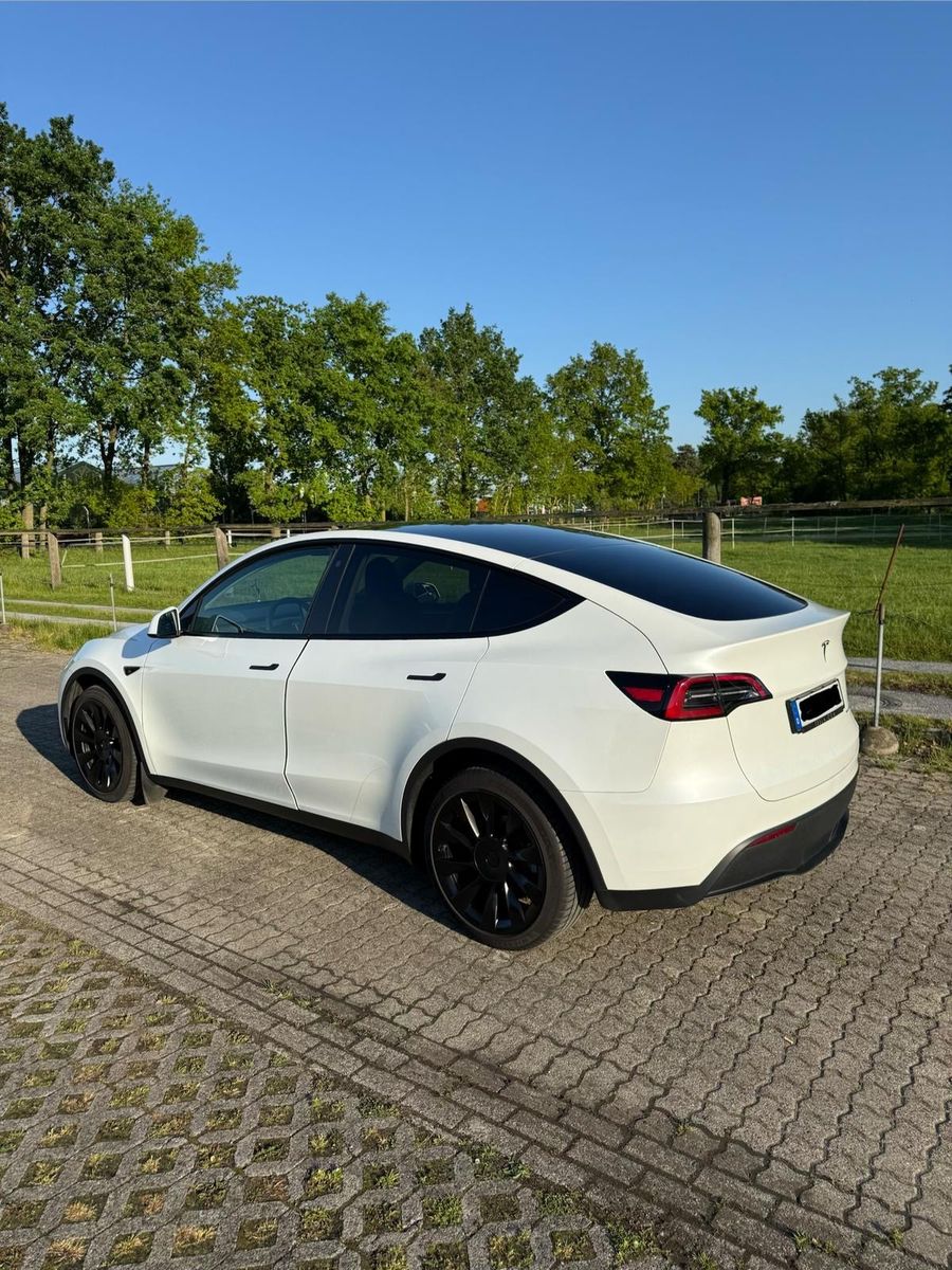 Tesla Model Y Long Range Dual Motor AWD Long Range foto 2