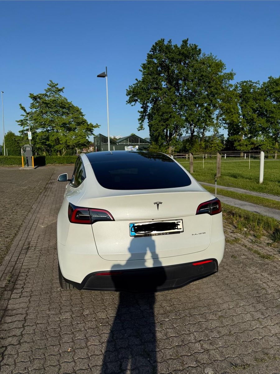 Tesla Model Y Long Range Dual Motor AWD Long Range foto 5