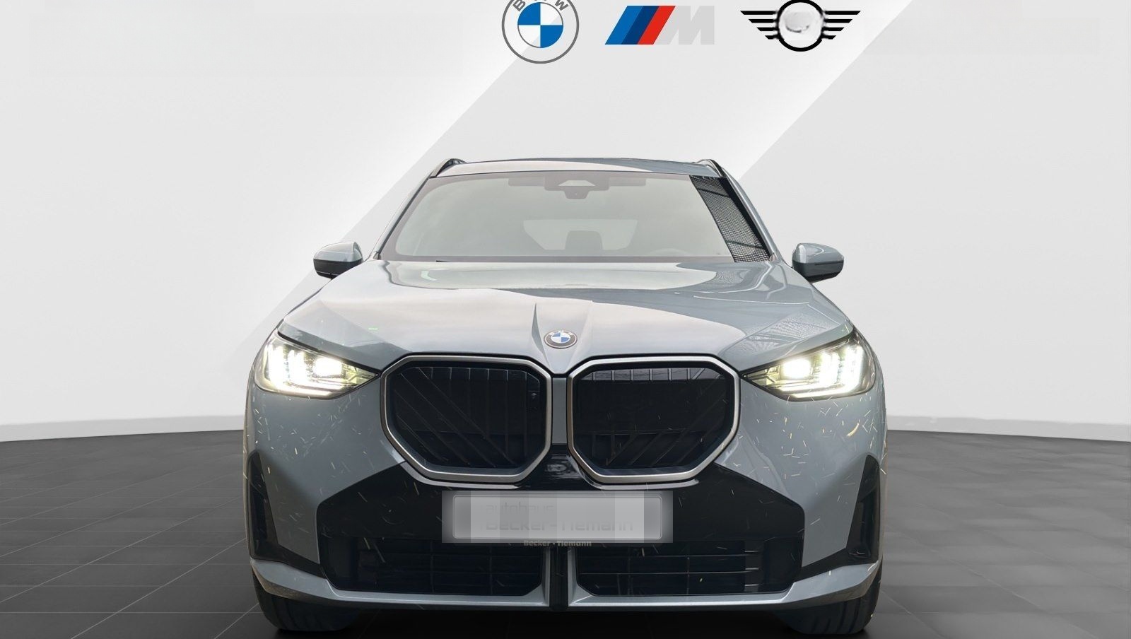 BMW X3 20 xDrive M Sport | AHK | DA+ | 360° | Harman foto 2