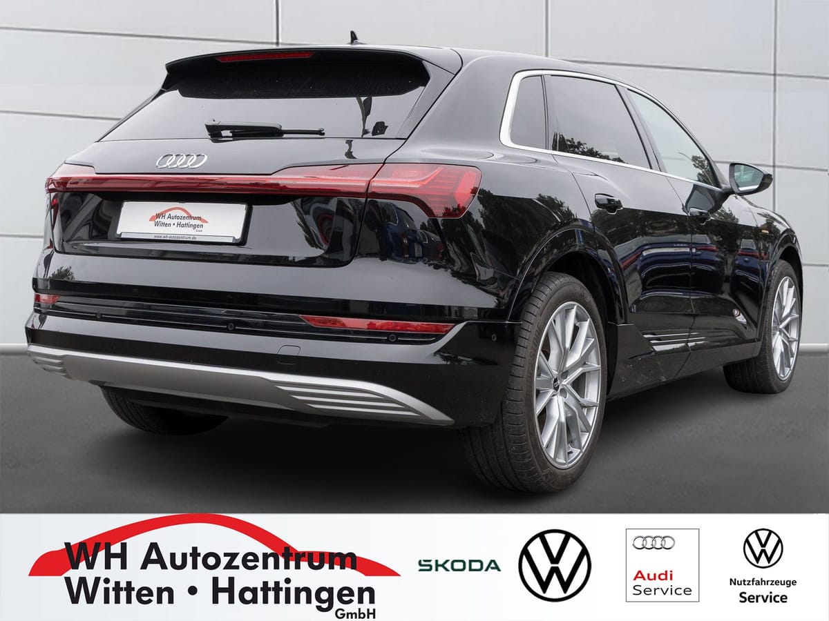Audi e-tron 55 quattro advanced PANORAMA LUFTFEDERUNG foto 2