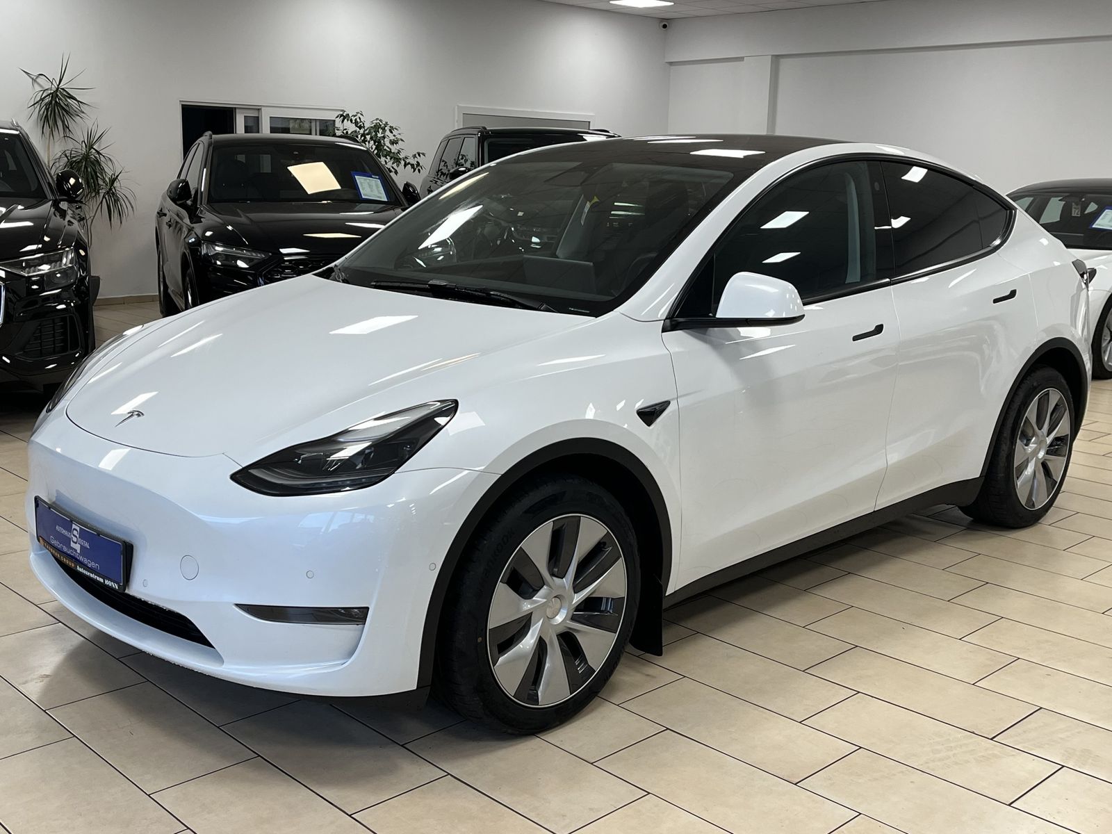 Tesla Model Y Maximale Reichweite Dual AWD ACC Pano foto 1
