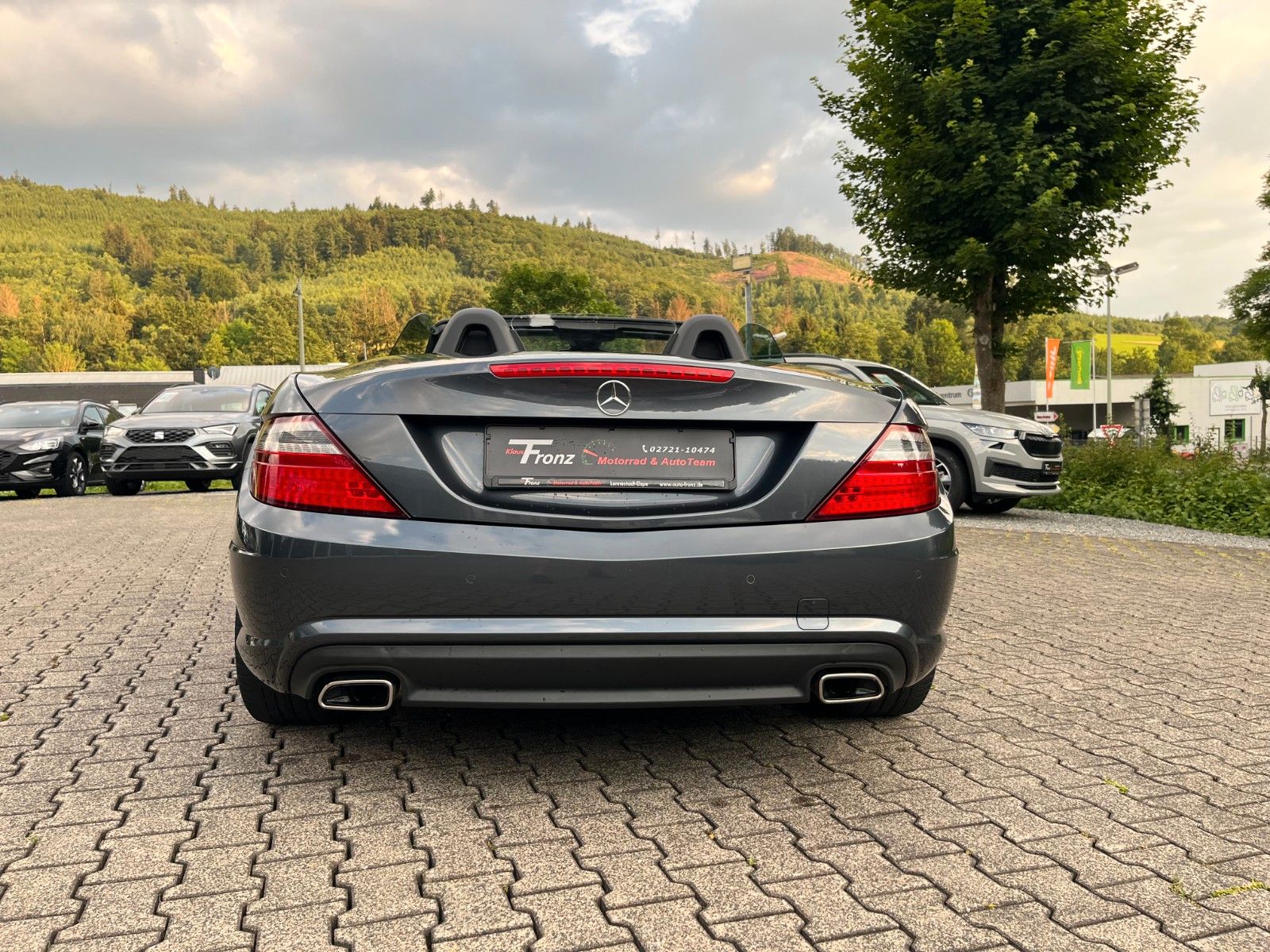 Mercedes-Benz SLK 200 SLK Roadster SLK 200 BlueEfficiency AMG foto 4