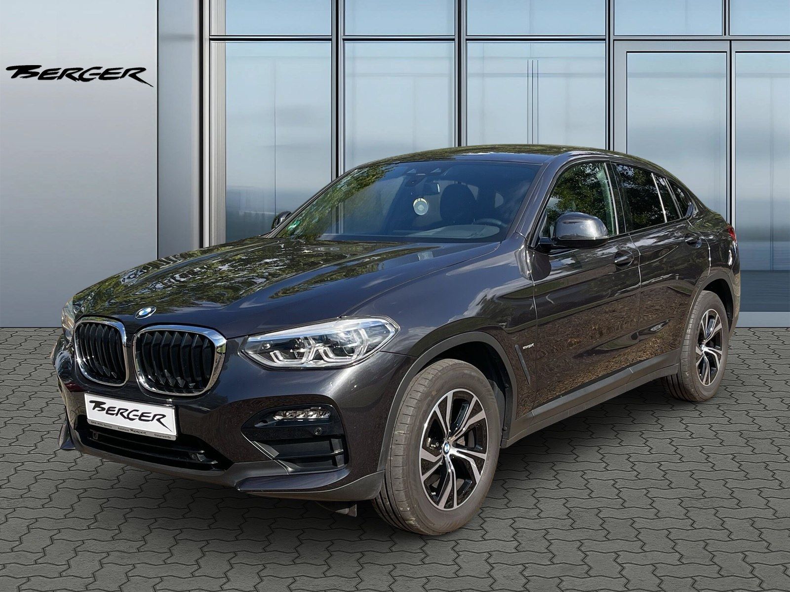BMW X4 xDrive20i Advantage Head-Up HiFi DAB LED Shz foto 1
