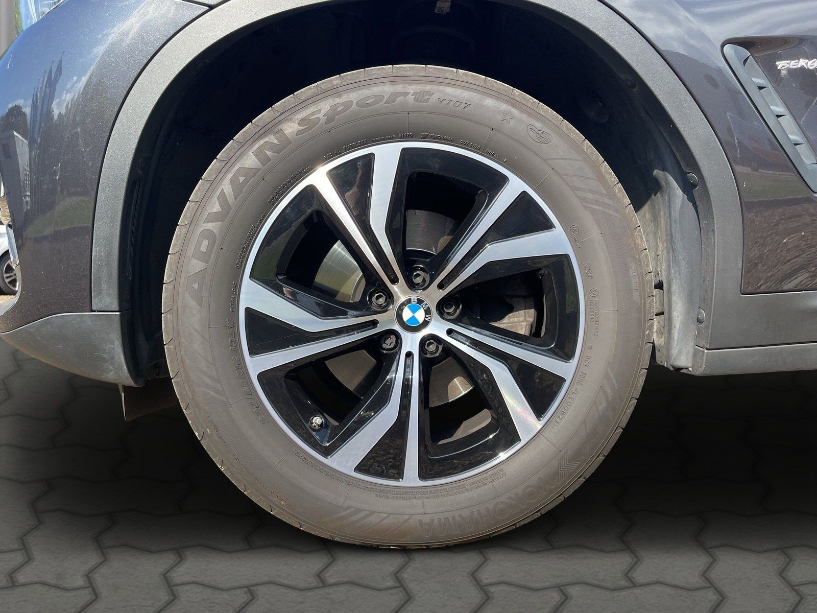 BMW X4 xDrive20i Advantage Head-Up HiFi DAB LED Shz foto 5