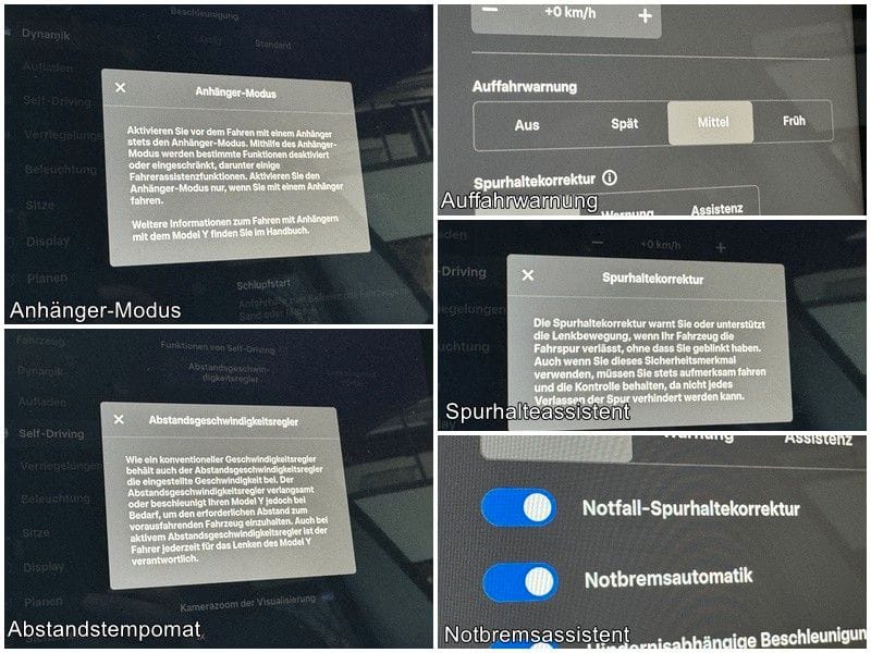 Tesla Model Y RWD Navi Panorama LED Kamera AHK foto 12