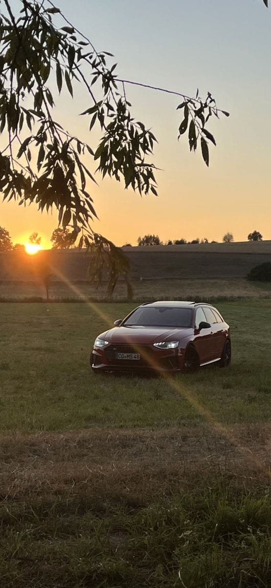 Audi S4 Avant 3.0 TDI quattro Tiptr. AHK PANO HEAD foto 17