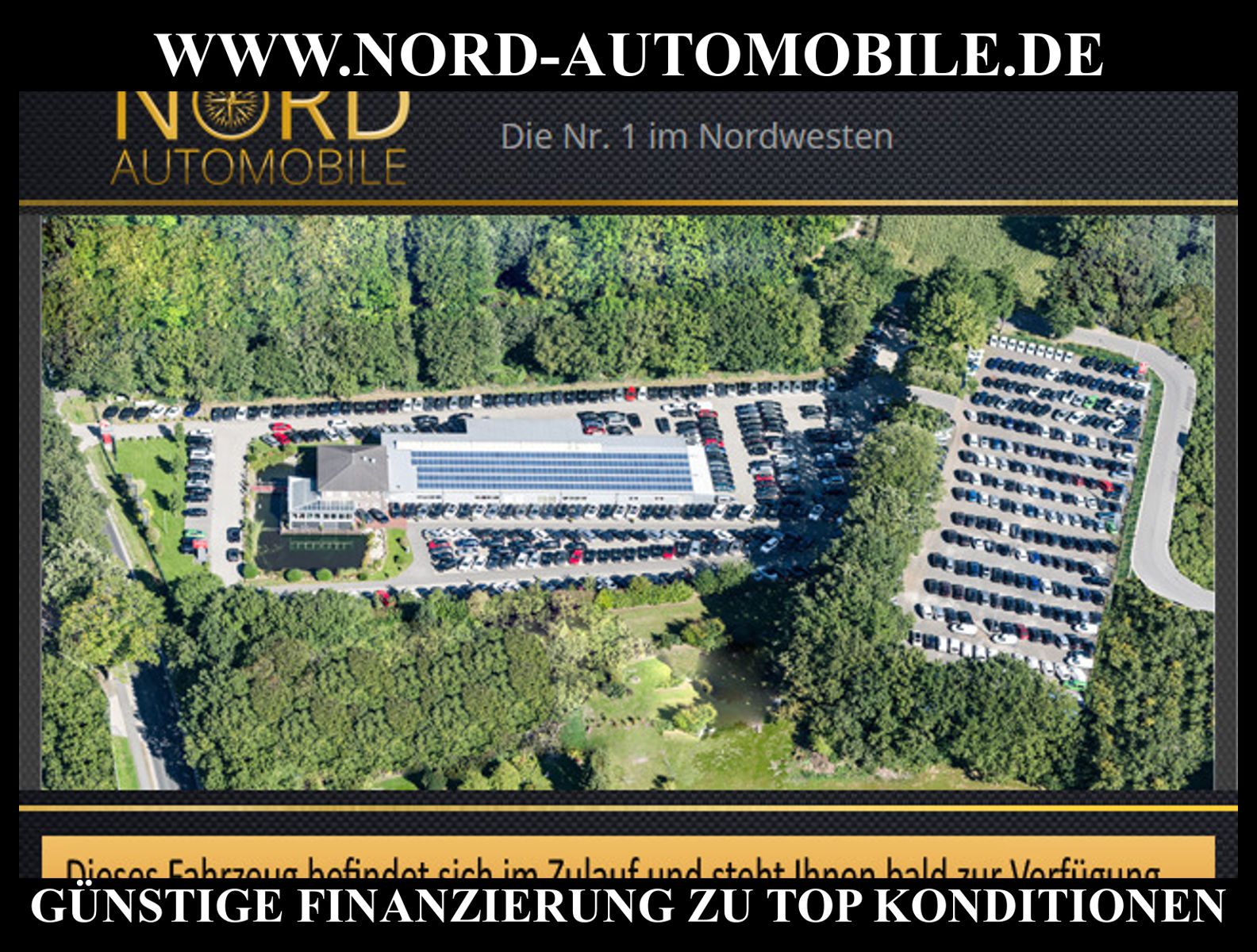 Volkswagen Golf R 20 Years 4MOT 2.0 TSI DSG Leder/Pano/19 foto 2