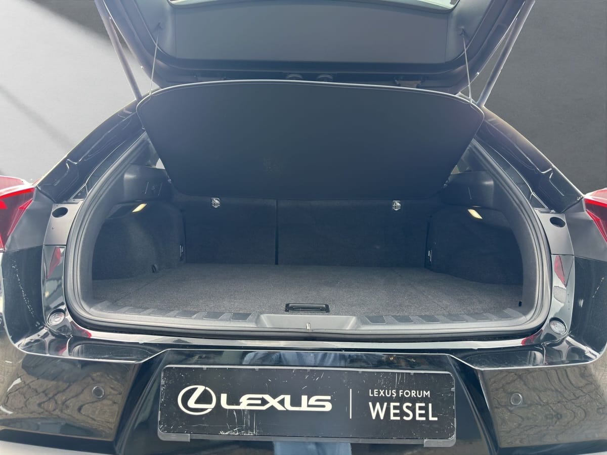 Lexus UX UX Crossover Style Edition 250h Frontantrieb foto 19