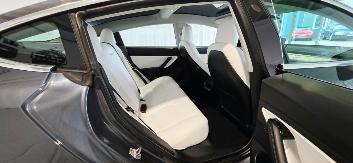 Tesla Model 3 Long Range Dual AWD foto 12
