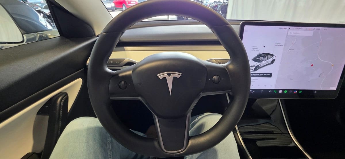 Tesla Model 3 Long Range Dual AWD foto 25