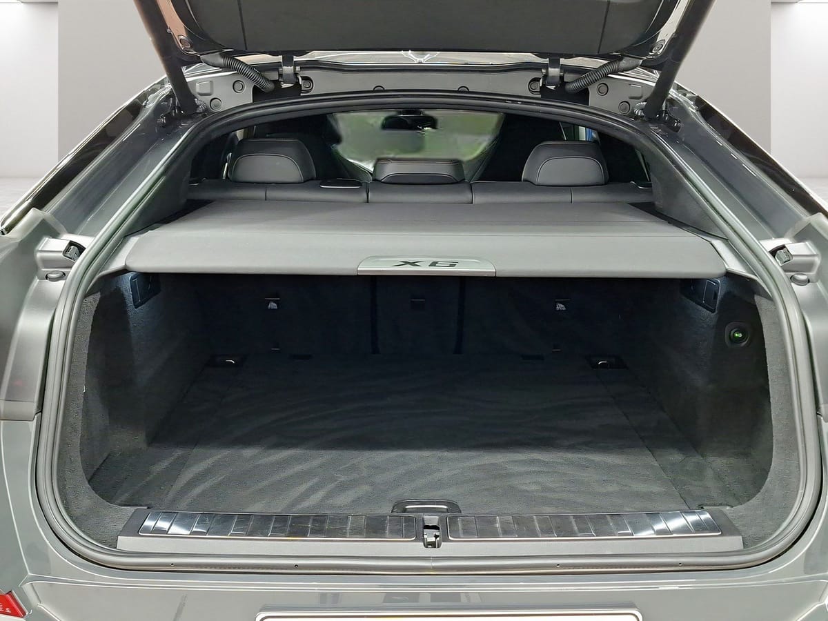 BMW X6 xDrive40d M Sport AHK Driv.Assist.Prof Laser foto 11