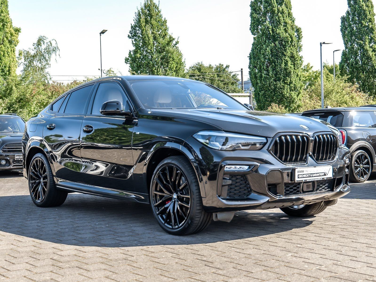 BMW X6 xDrive30d M Sport NAVI LED PDC V+H DAB Klima foto 6