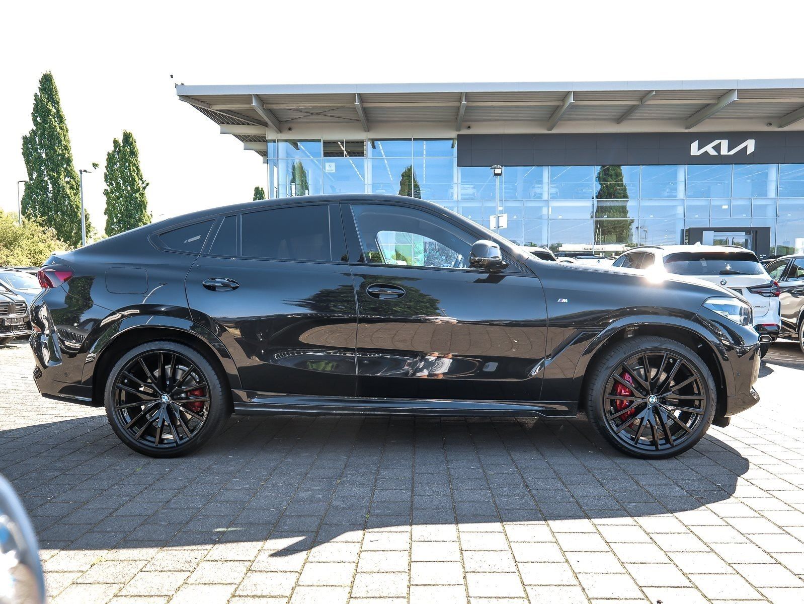 BMW X6 xDrive30d M Sport NAVI LED PDC V+H DAB Klima foto 10