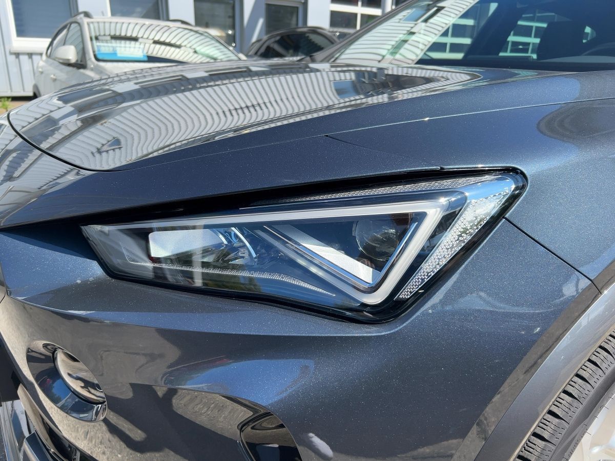 Cupra Formentor 2.0 TDI DSG 4Drive Navi LED SHZ ACC foto 13