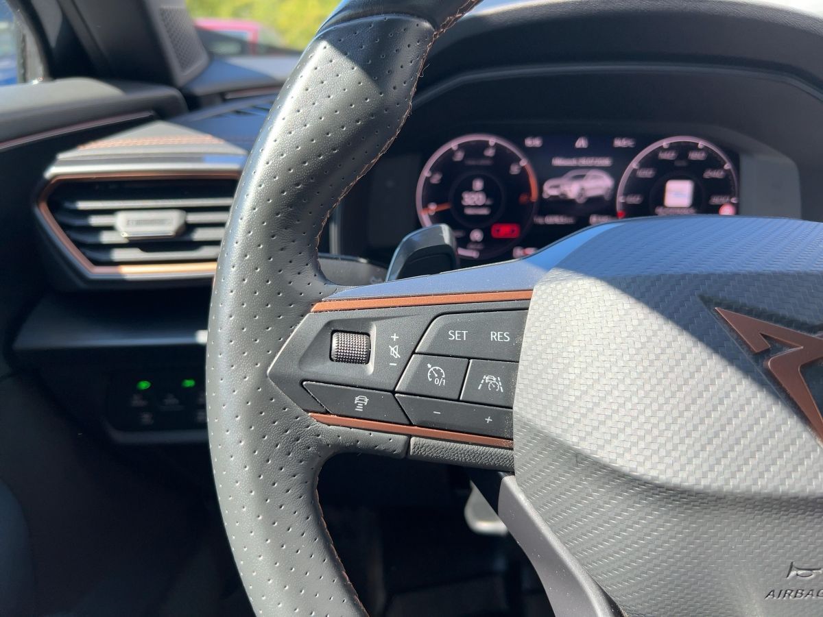 Cupra Formentor 2.0 TDI DSG 4Drive Navi LED SHZ ACC foto 14