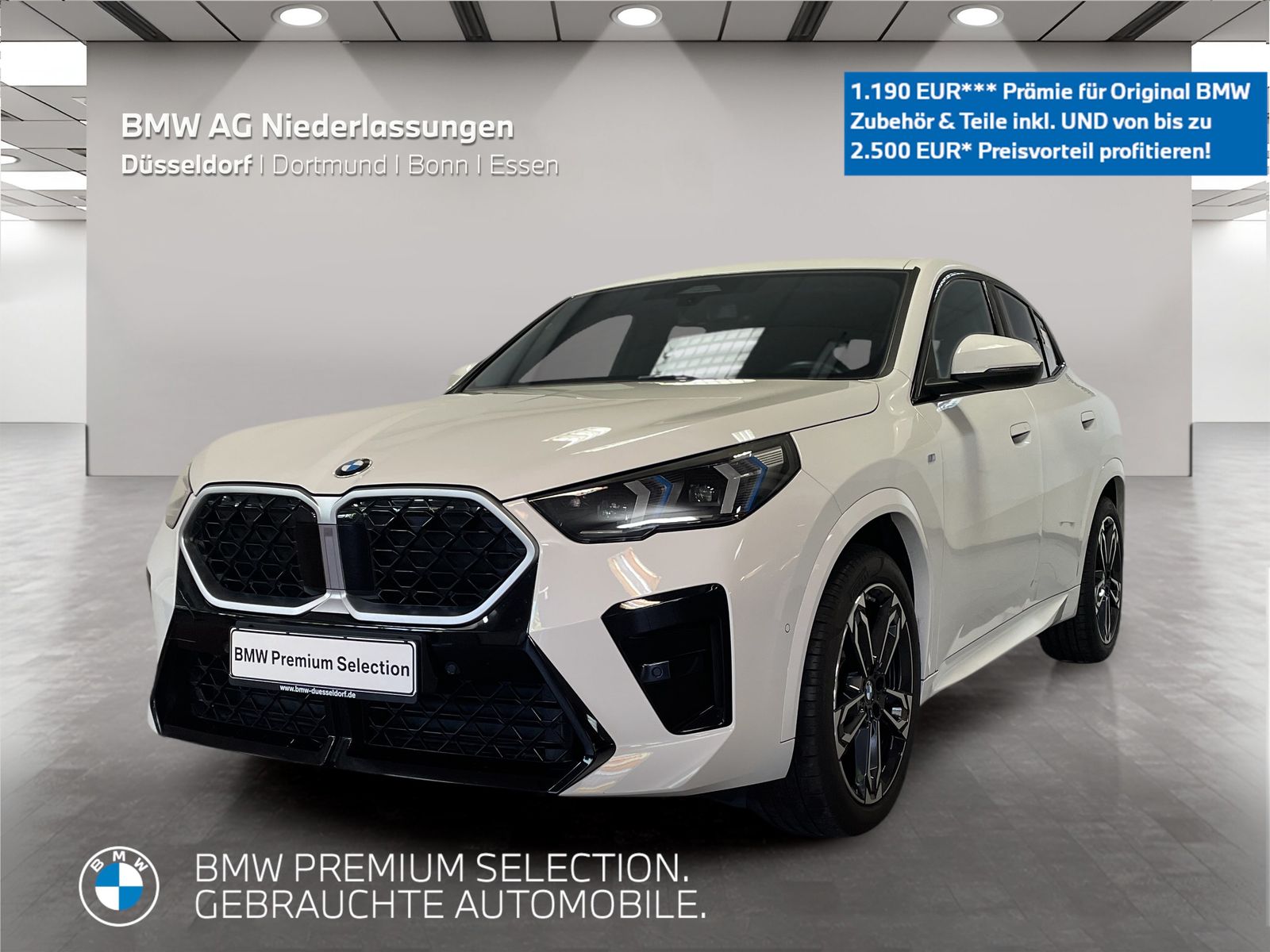BMW X2 sDrive20i M Sport AHK Driv.Assist+ Harman/K
