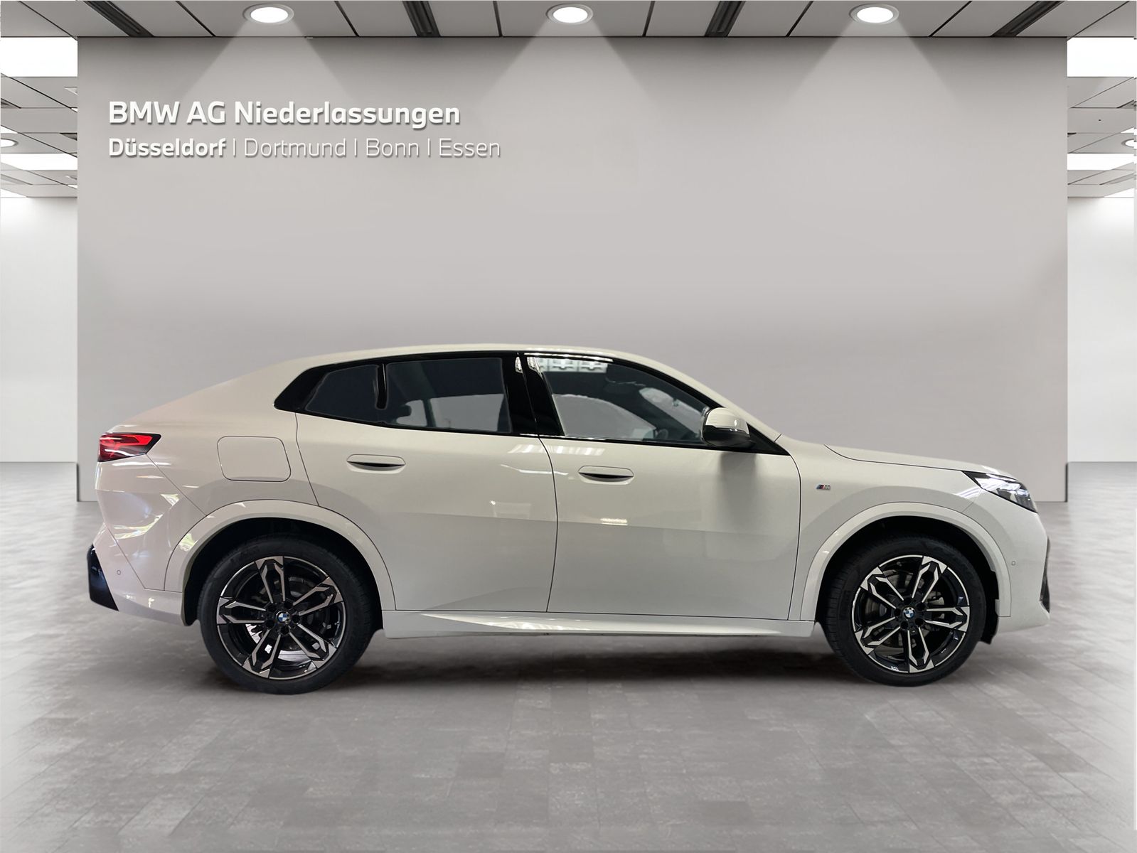 BMW X2 sDrive20i M Sport AHK Driv.Assist+ Harman/K foto 7
