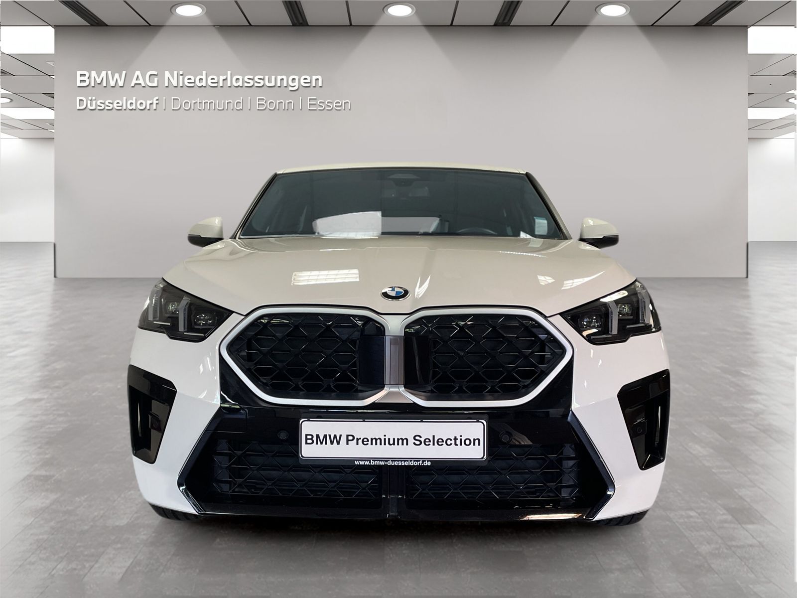 BMW X2 sDrive20i M Sport AHK Driv.Assist+ Harman/K foto 8