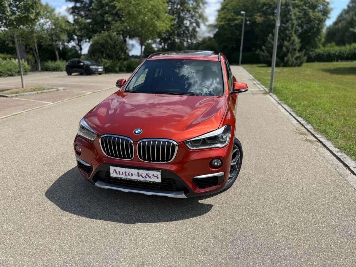 BMW X1 xDrive 20 d xLine Leder Driving Plus Adap.LED