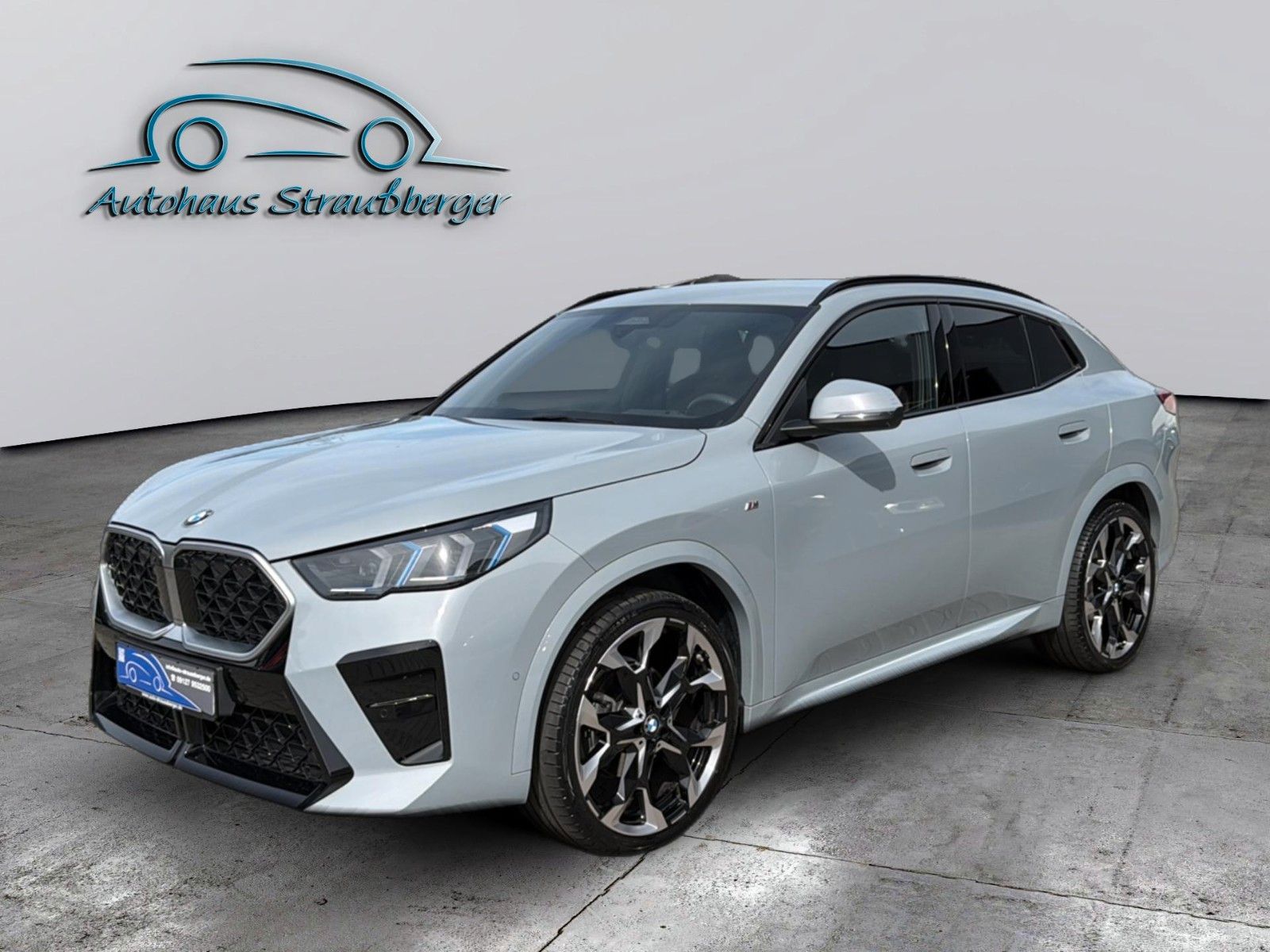 BMW X2 20xd M Sport AHK ACC Iconic Glow HuD foto 2
