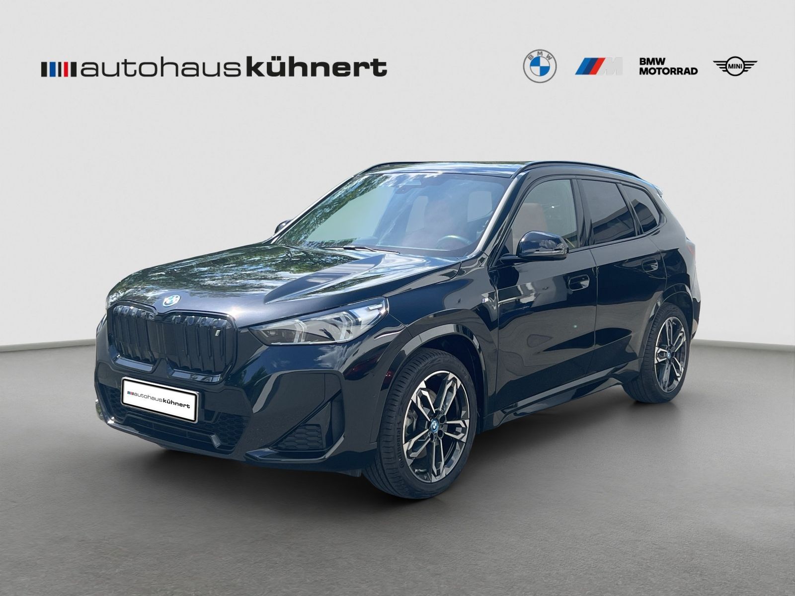 BMW iX1 xDrive30 M-Sport PanoSD SpurAss AHK foto 2