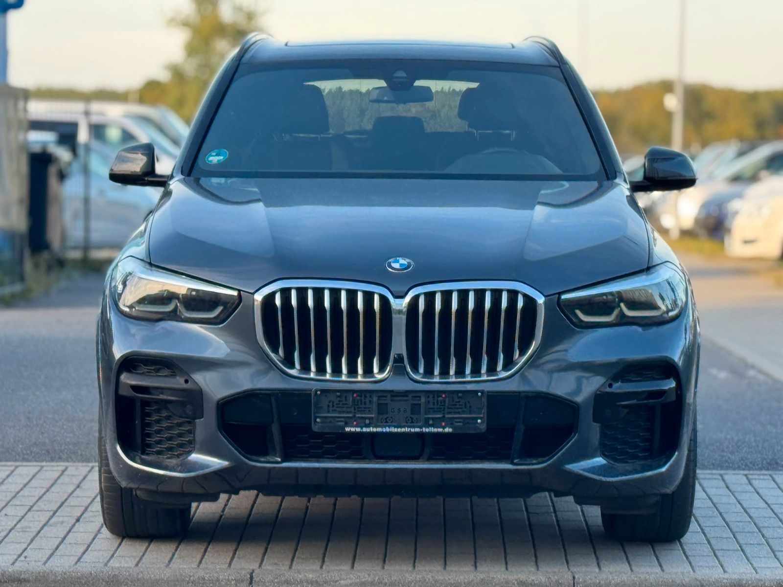 BMW X5 xDrive 30 d M Sport Panorama Shadowline foto 2