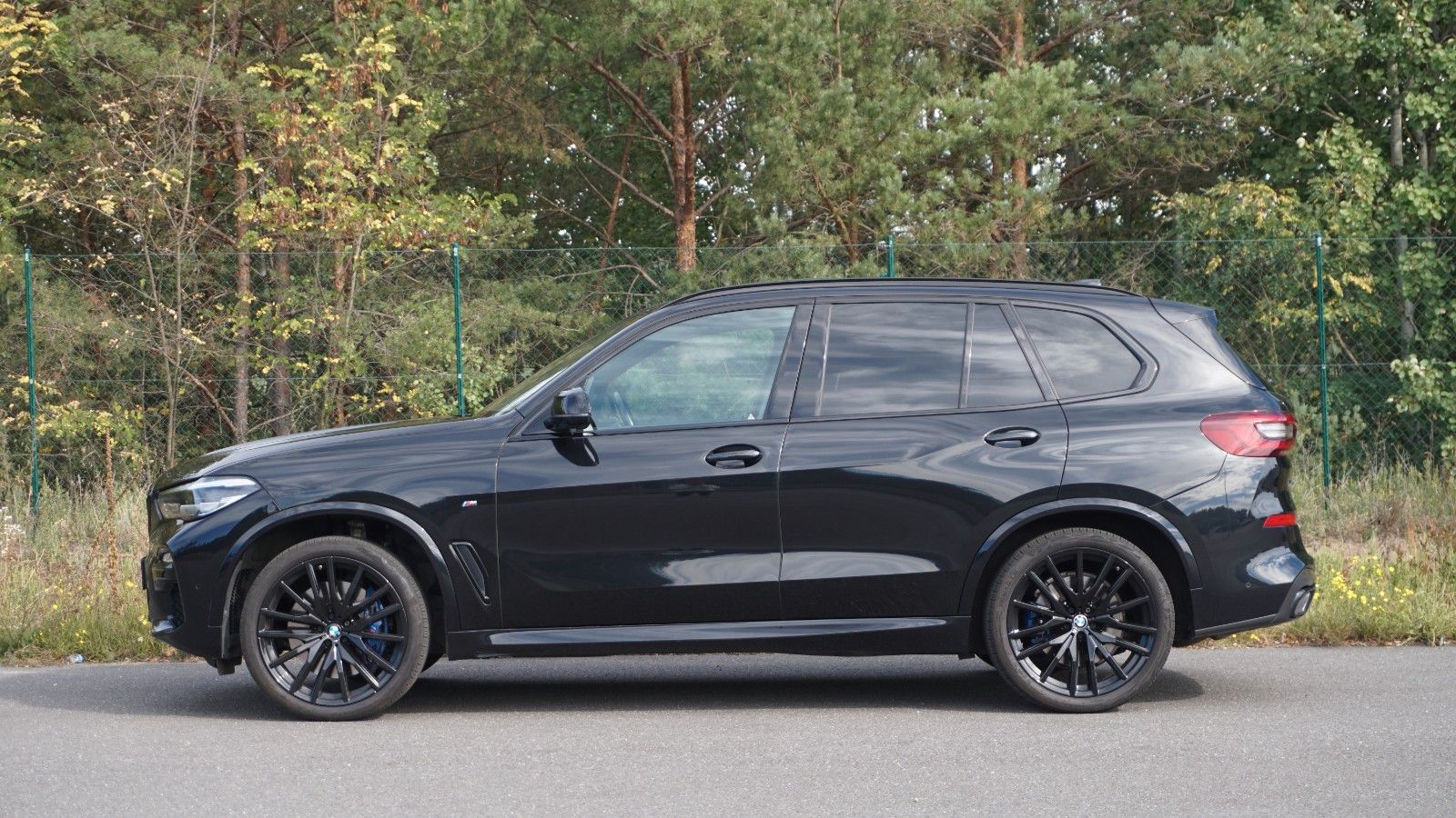 BMW X5 M50i Performance LED ACC HuD Pano AHK Cam H&K foto 2