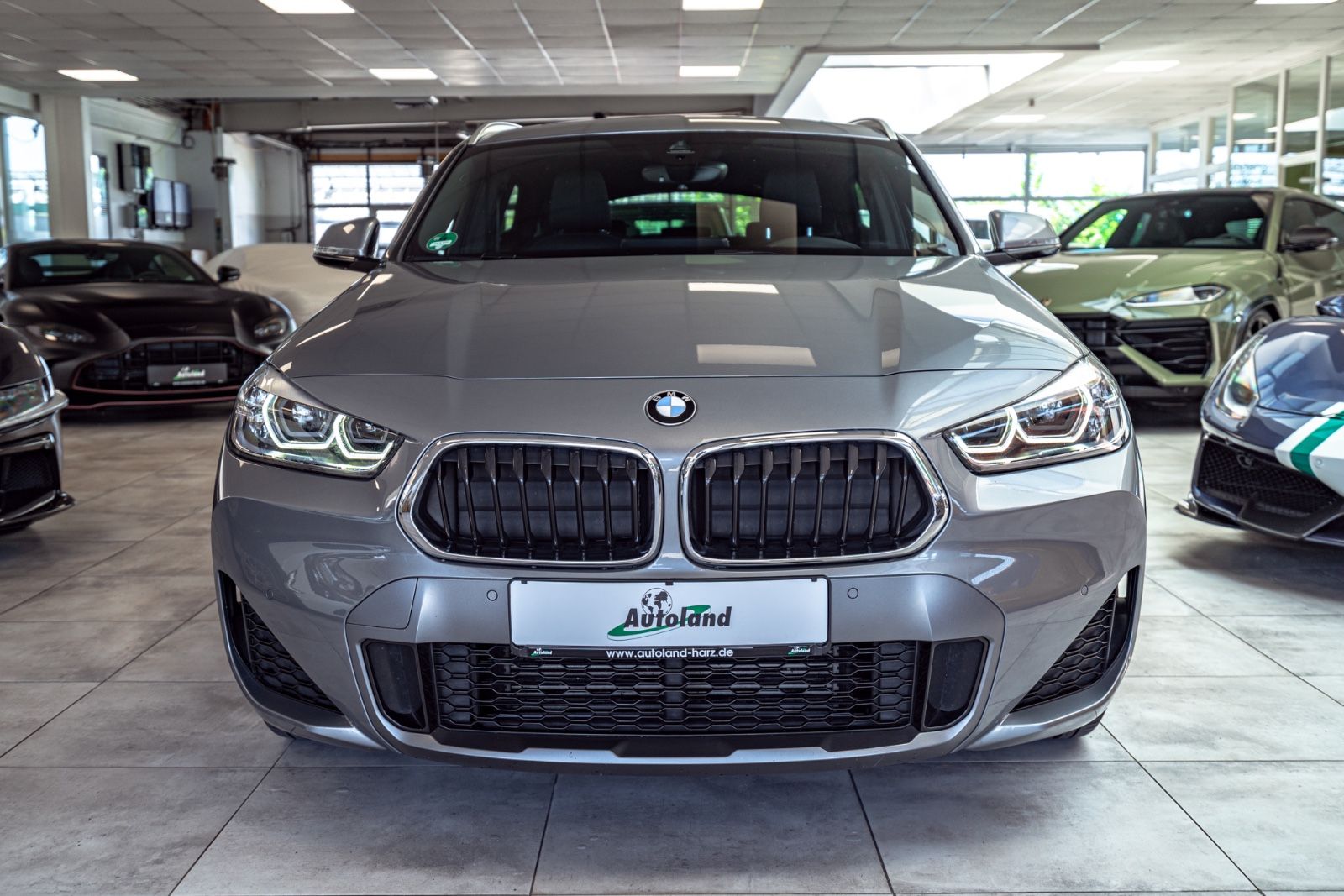 BMW X2 xDrive20d Aut. M Sport X PANO HEADUP PDC TOP foto 2